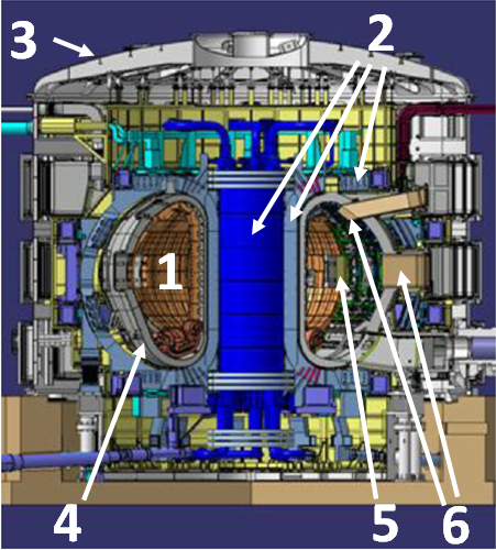 Cross section of the latest design for the ITER machine (Modified from [1])