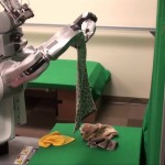 Los robots del ¿futuro?